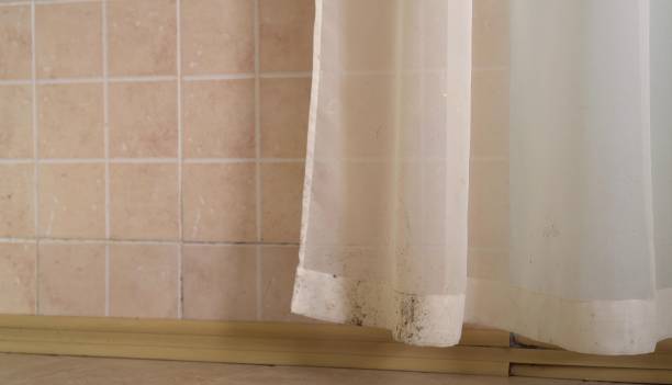 Best Airborne Mold Testing  in Ambler, PA