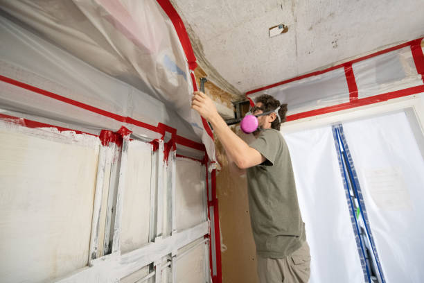 Best Mold Documentation for Insurance Claims  in Ambler, PA
